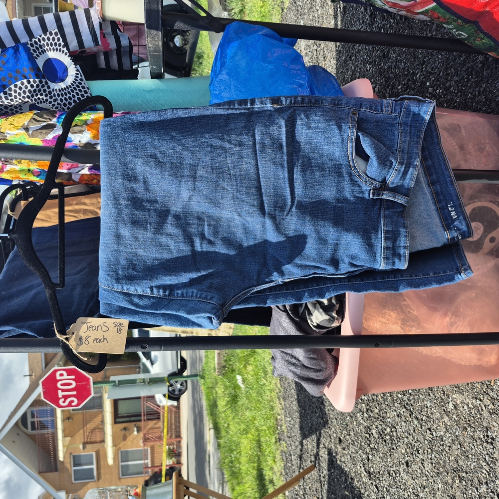 Women's Plus Blue Jeans